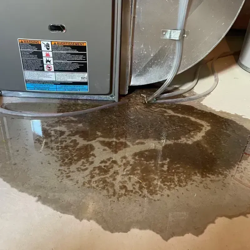 Appliance Leak Cleanup in Greenville, TX